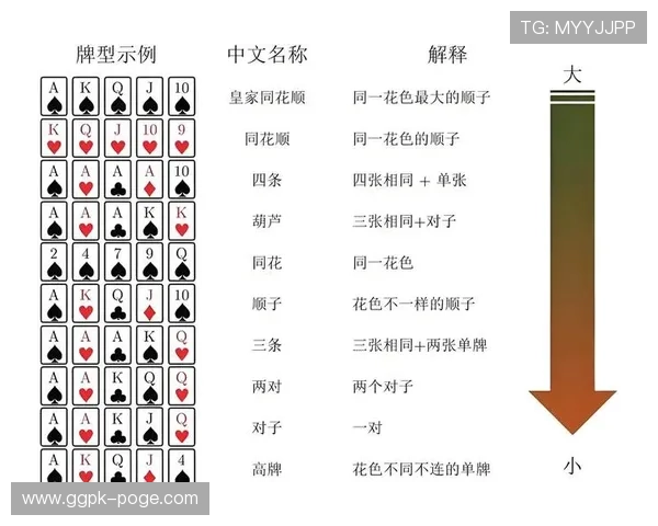 德州扑克官网平台：丰富的教学资源助力新手快速掌握游戏技巧